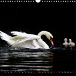 image. Kalenderpreview.