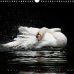 image. Kalender. Monatsblatt