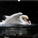 image. calendar preview