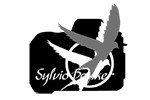 Sylvio Banker. Portfolio
